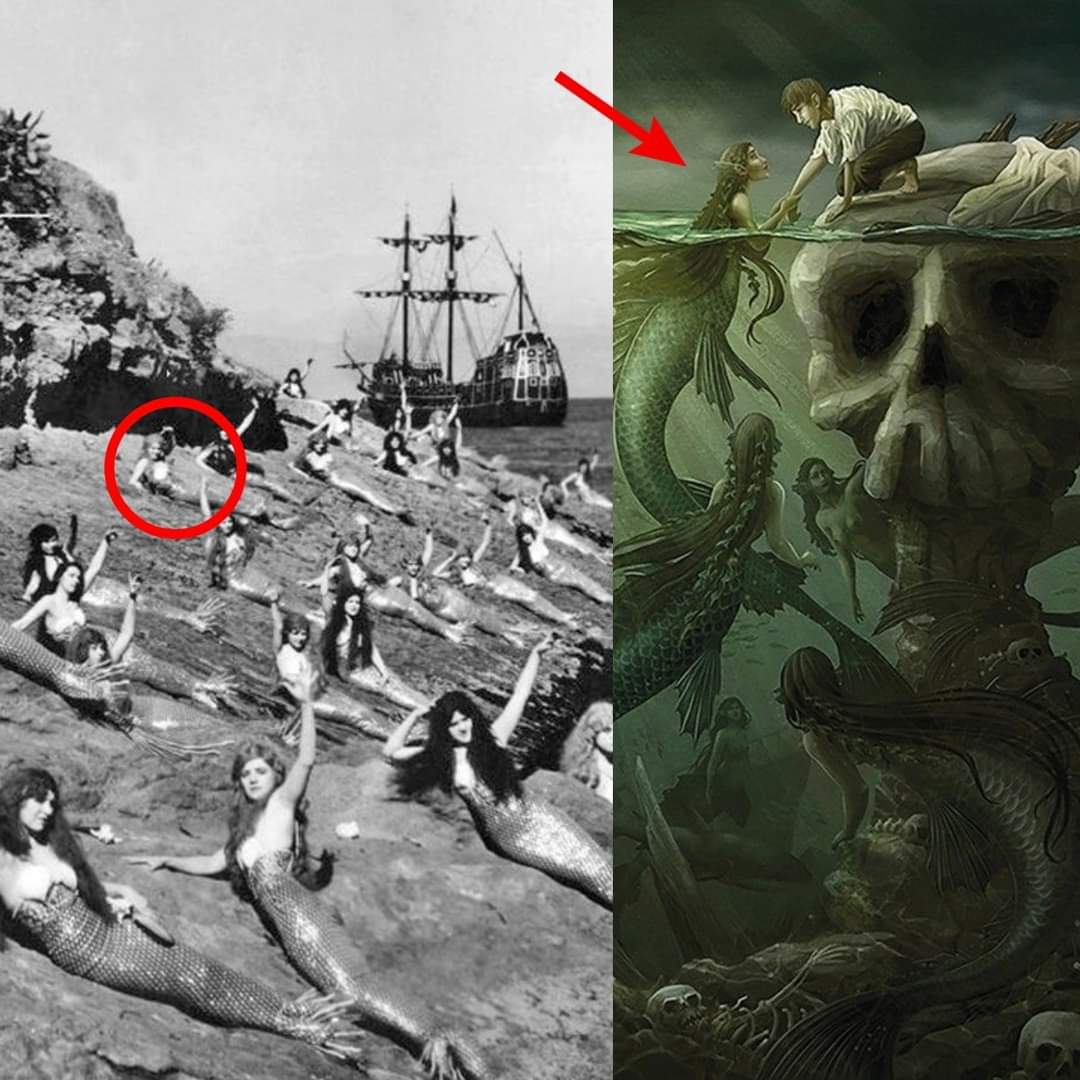 Hidden Secrets of the Abyss: The Untold Story of the 19th Century Shipwreck and Its Mysterious Connection to Mermaids